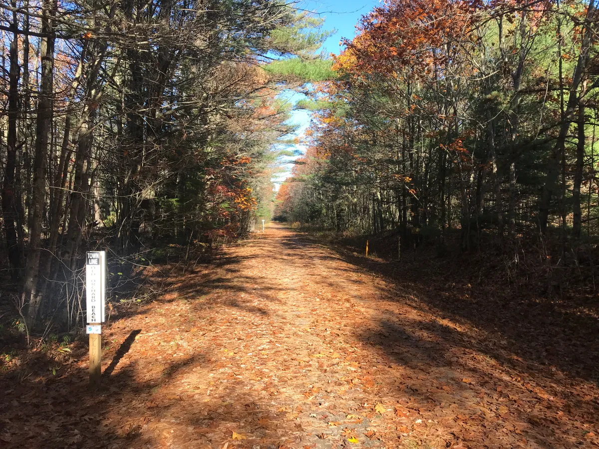 Trail through coastal Maine woodland near Ferry Beach State Park