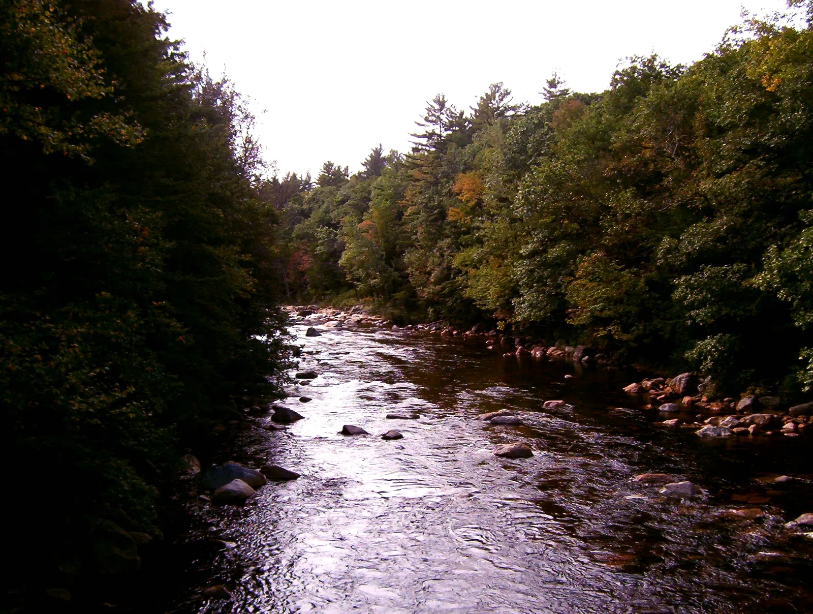 The Saco River, which empties into Saco Bay near Ferry Beach