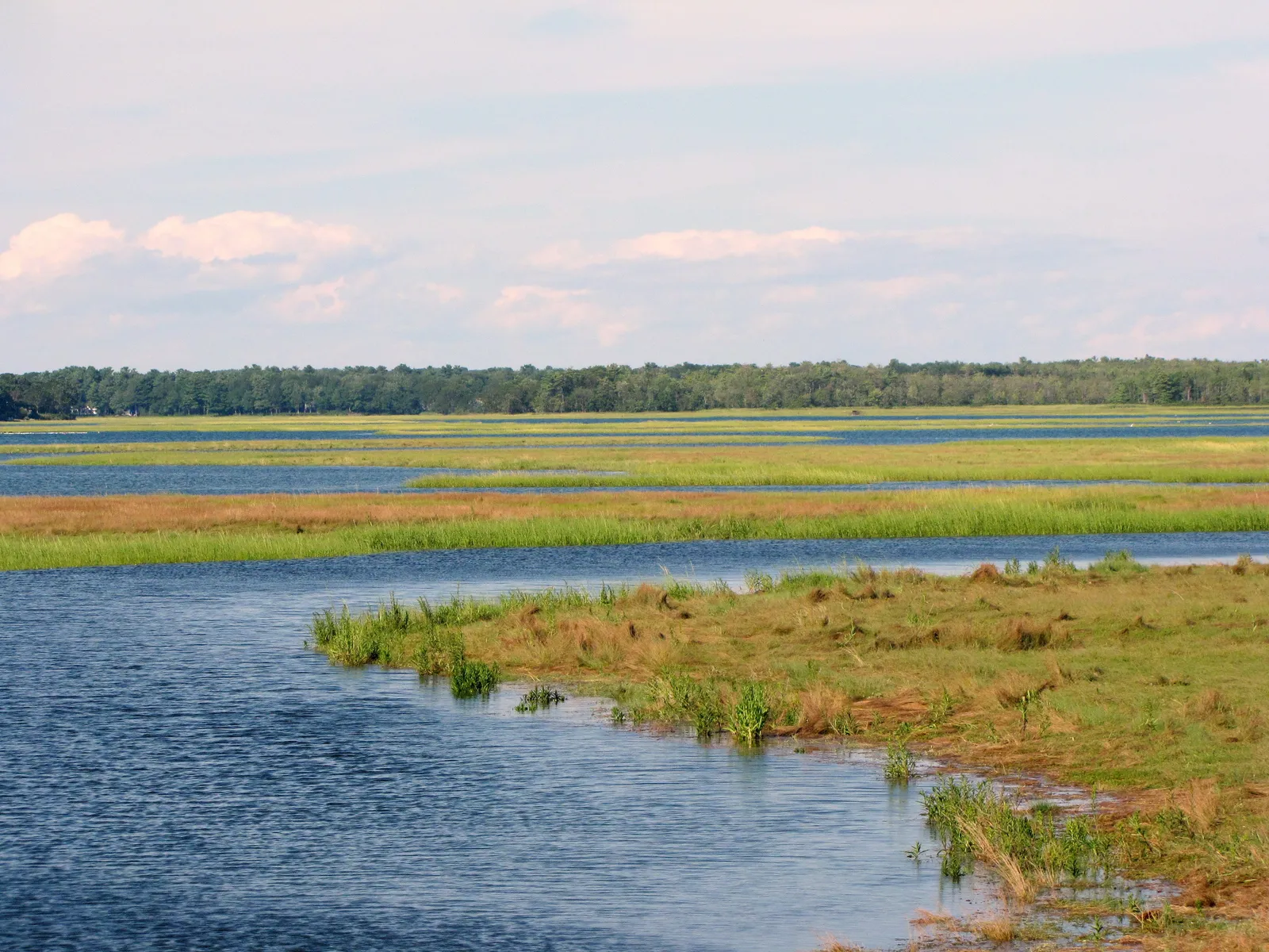 Ferry Beach State Park: Maine's Quiet Beach Near Saco